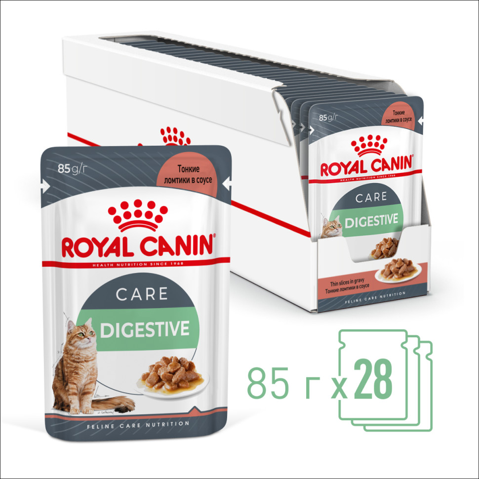 Royal canin digestive для кошек. Роял Канин Дижестив для кошек. Роял Канин Диджестив в соусе. Royal Canin Digest sensitive. Royal Canin для котят влажный.
