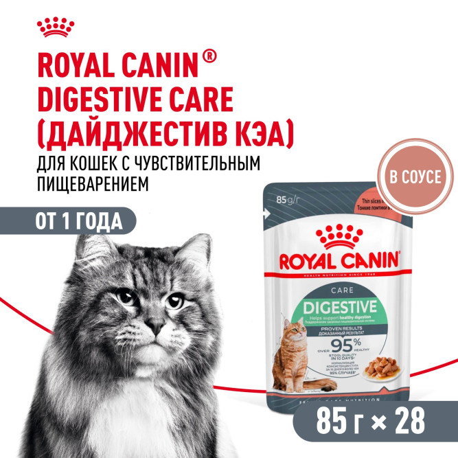 Royal Canin Digestive Care влажный корм для взрослых кошек с чувствительным пищеварением, в паучах, в соусе - 85 г х 28 шт