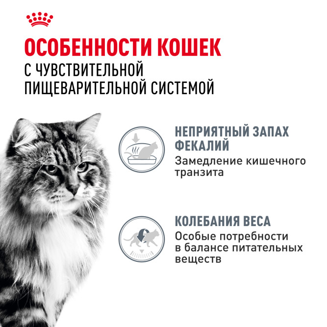 Royal Canin Digestive Care влажный корм для взрослых кошек с чувствительным пищеварением, в паучах, в соусе - 85 г х 28 шт