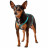 Hunter шлейка для собак Tripoli 32-44 см, нейлон св. голубая, светоотражающая