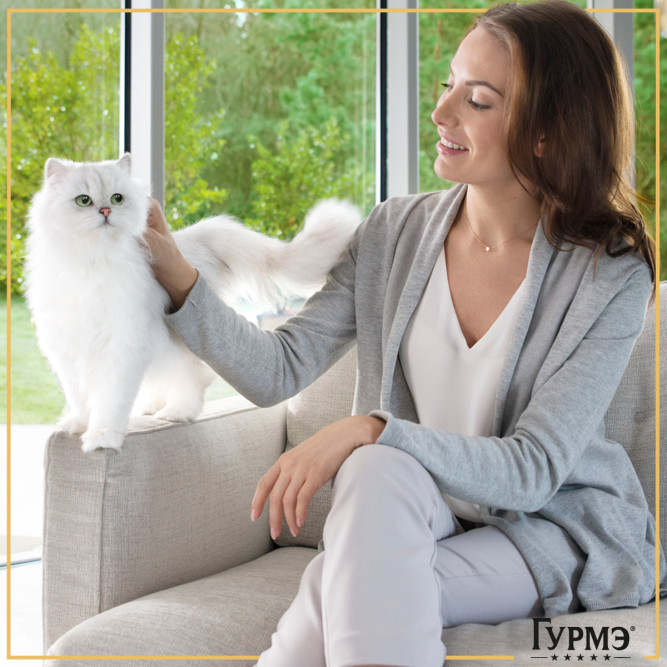 Гурмэ Натуральные рецепты влажный корм для кошек, курица на пару с морковью - 75 г х 26 шт