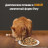 Hills Prescription Diet i/d Digestive Care влажный диетический корм для кошек для поддержания здоровья ЖКТ рагу с курицей овощами - 82 г