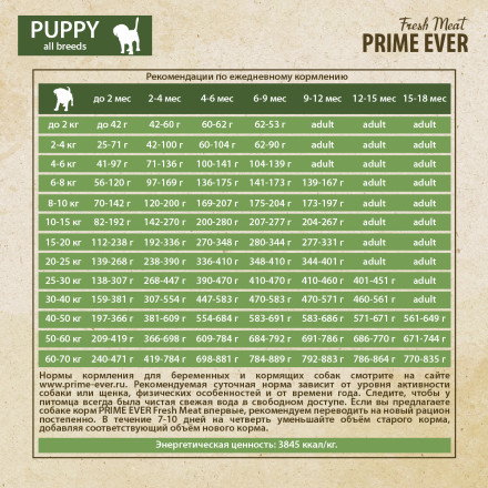 Prime Ever Fresh Meat Puppy полнорационный сухой корм для щенков с 1 месяца с индейкой и рисом - 900 г