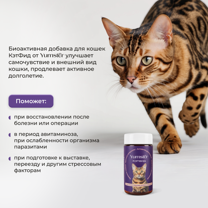 Yumster КэтФид биоактивная кормовая добавка для кошек - 27 г