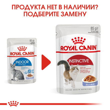 Royal Canin Indoor Sterilised влажный корм для взрослых кошек кусочки в желе - 85 г