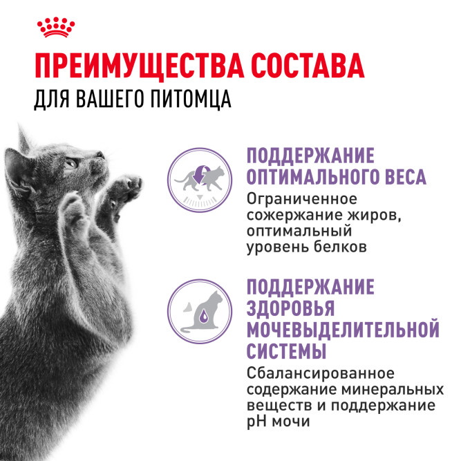 Royal Canin Sterilised влажный корм стерилизованных кошек кусочки в желе, в паучах - 85 г х 28 шт