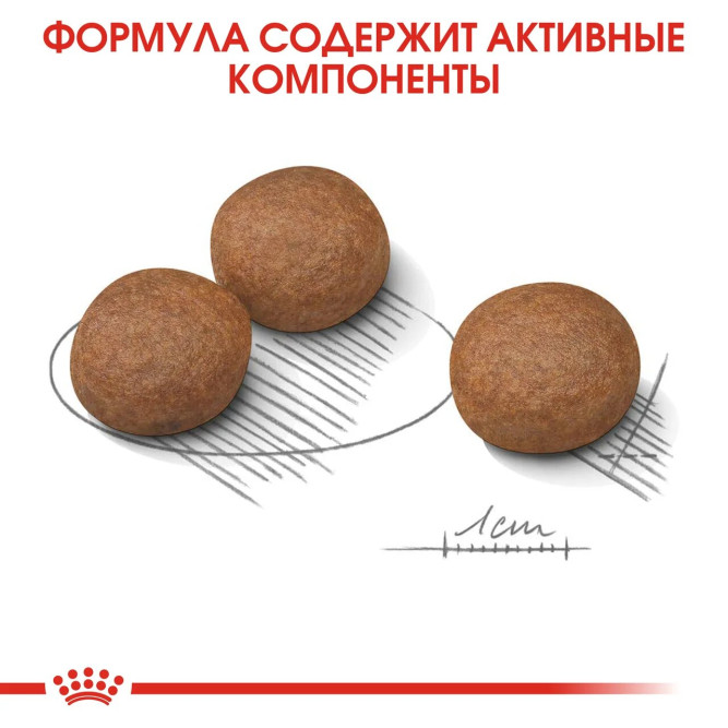 Royal Canin Medium Digestive Care сухой корм для собак с чувствительной пищеварительной системой - 12 кг