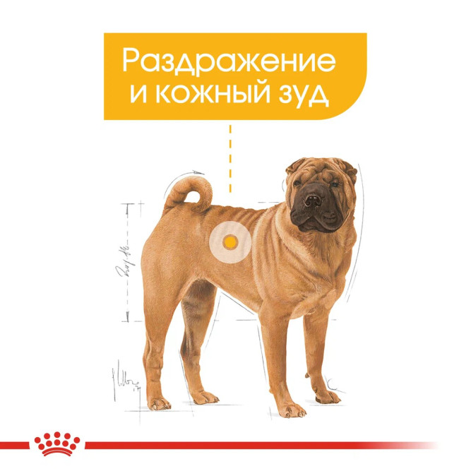 Royal Canin Medium Dermacomfort корм для собак средних пород с раздраженной и зудящей кожей - 3 кг