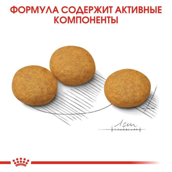Royal Canin Medium Dermacomfort корм для собак средних пород с раздраженной и зудящей кожей - 3 кг