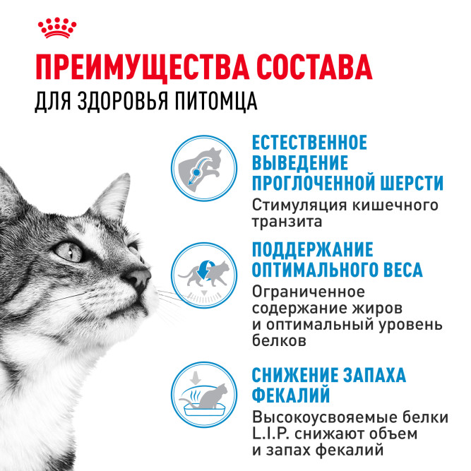 Royal Canin Indoor сухой корм для взрослых кошек, живущих в помещении - 10 кг