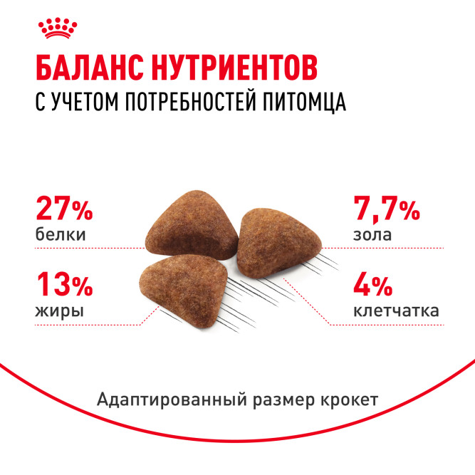 Royal Canin Indoor сухой корм для взрослых кошек, живущих в помещении - 10 кг