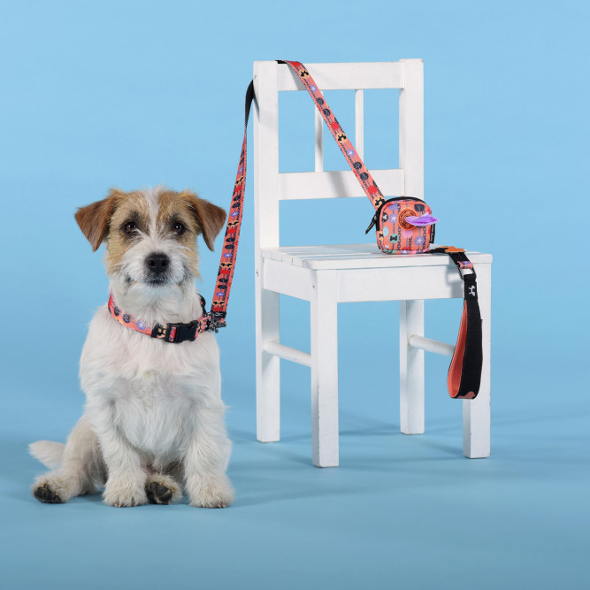 United Pets Complete me Forever поводок для собак, 120 см, 25 мм, оранжевый с рисунком