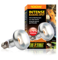 Exo Terra Intense Basking Spot лампа для баскинга, 100 Вт 80mm, PT2138