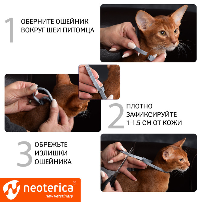 Rolf Club 3D Ошейник для кошек от клещей, блох, вшей, власоедов 40 см