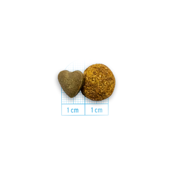 Forza10 Active Vet Diet Intestinal Mini/Toy сухой корм для собак мелких пород при проблемах пищеварения - 1,5 кг