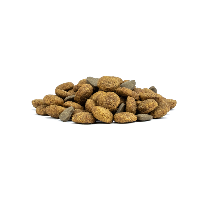 Forza10 Active Vet Diet Intestinal Mini/Toy сухой корм для собак мелких пород при проблемах пищеварения - 1,5 кг