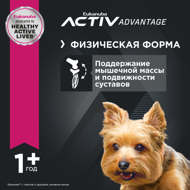 Сухой корм Eukanuba Adult Toy Breed для собак миниатюрных пород с птицей - 500 г