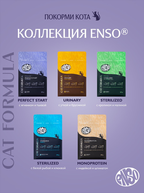 ENSO Cat Formula Perfect Start сухой корм для котят от 1 месяца, беременных и кормящих кошек со свежим ягненком и добавлением тыквы - 350 г