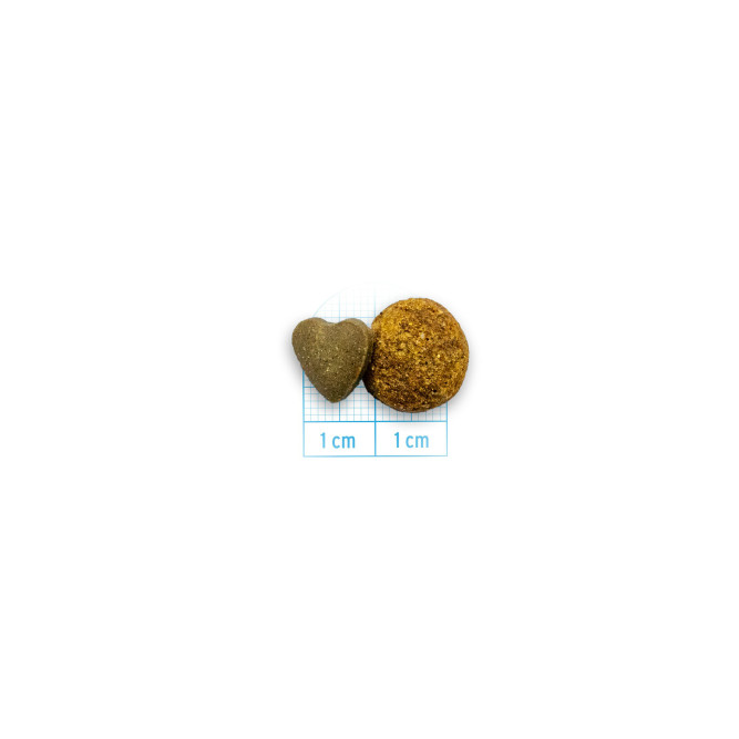 Forza10 Active Vet Diet Periaction Mini/Toy сухой корм для собак мелких пород при воспалении параанальных желез, вызванном пищевой аллергией и непереносимостью - 1,5 кг