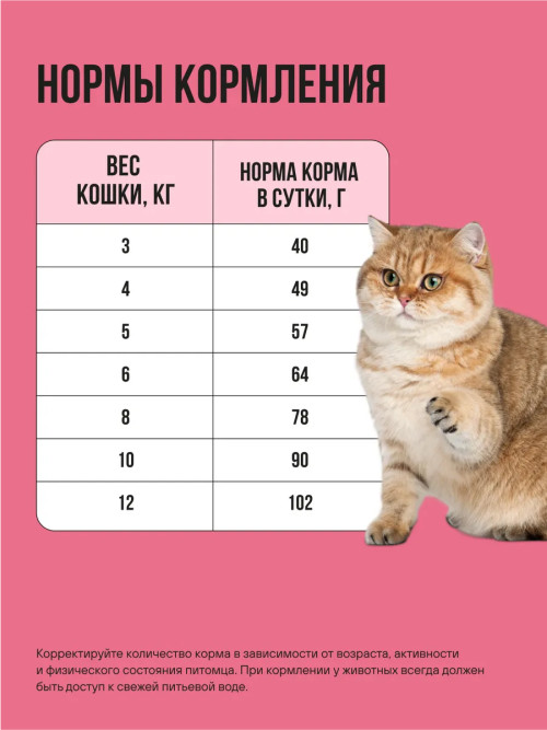 BOWL WOW Fresh Meat сухой корм для взрослых стерилизованных кошек с ягненком, курицей  и клюквой - 400 г