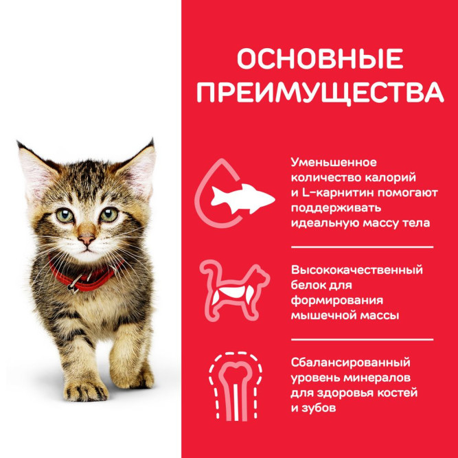 Влажный корм Hills Science Plan для котят для здорового роста и развития, пауч с индейкой в соусе, 85 г х 12 шт