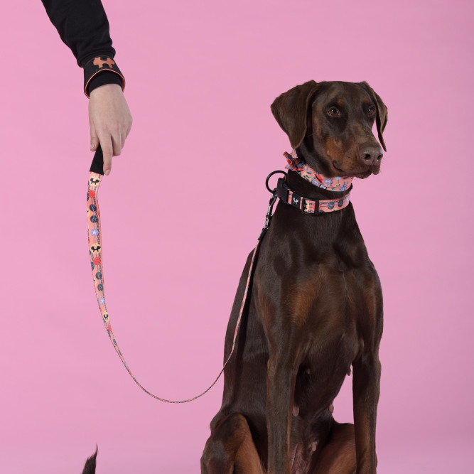United Pets Complete me Forever поводок для собак, 140 см, 20 мм, оранжевый с рисунком