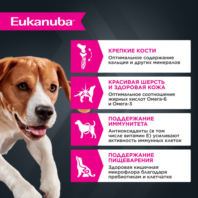 Eukanuba Adult Dog консервированный корм для взрослых собак всех пород старше 1 года с ягненком в соусе, в паучах - 100 г х 24 шт