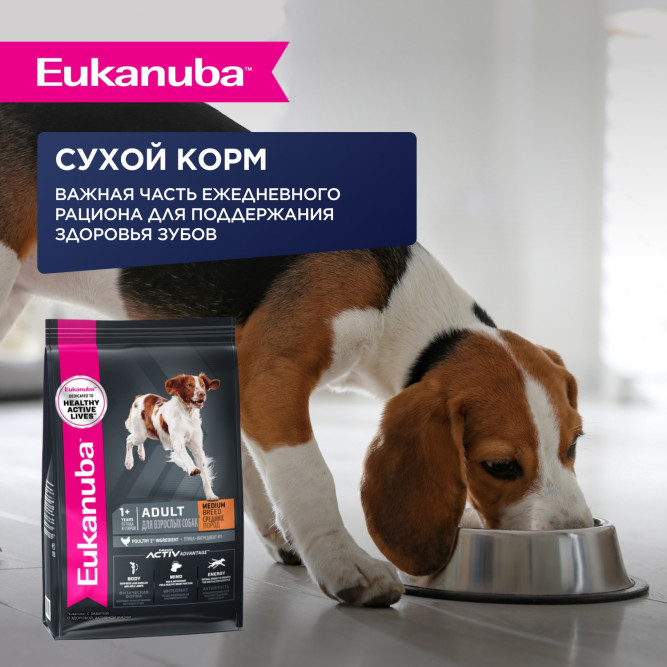 Eukanuba Adult Dog консервированный корм для взрослых собак всех пород старше 1 года с ягненком в соусе, в паучах - 100 г х 24 шт