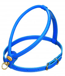 Camon шлейка для собак кожаная синяя, размер L
