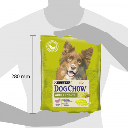 Сухой корм Purina Dog Chow Adult для взрослых собак старше 1 года с ягненком - 800 г