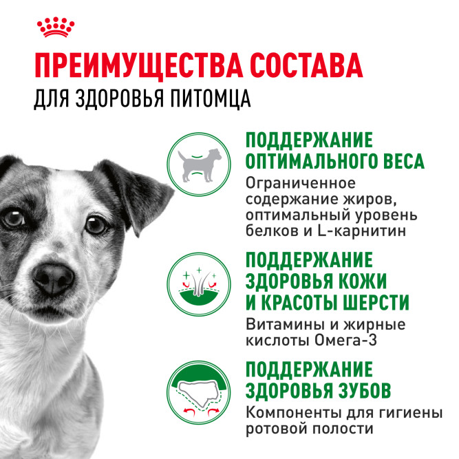 Royal Canin Mini Adult для поддержания физической формы собак мелких пород - 2 кг
