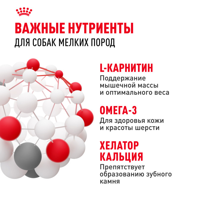 Royal Canin Mini Adult для поддержания физической формы собак мелких пород - 2 кг