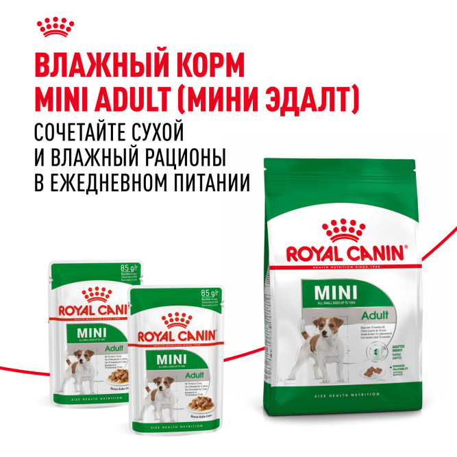 Royal Canin Mini Adult для поддержания физической формы собак мелких пород - 2 кг