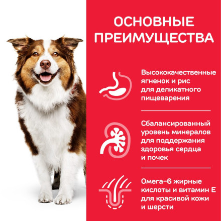 Hills Science Plan сухой корм для пожилых собак средних пород с ягненком и рисом - 2,5 кг