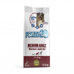 Forza10 Maintenance сухой корм для взрослых собак средних и крупных пород с ягненком и рисом - 12,5 кг