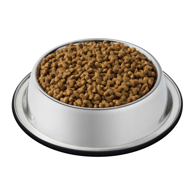 Purina Cat Chow Kitten Chicken сухой корм для котят с домашней птицей - 400 г
