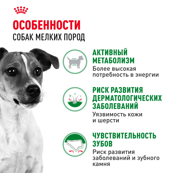 Royal Canin Mini Adult корм для поддержания физической формы собак мелких пород - 4 кг