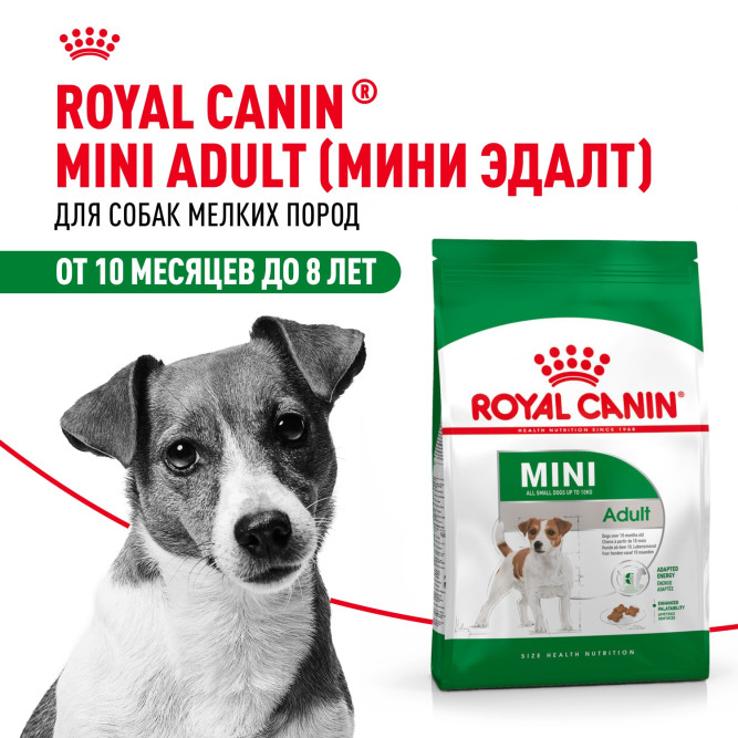 Royal Canin Mini Adult корм для поддержания физической формы собак мелких пород - 4 кг
