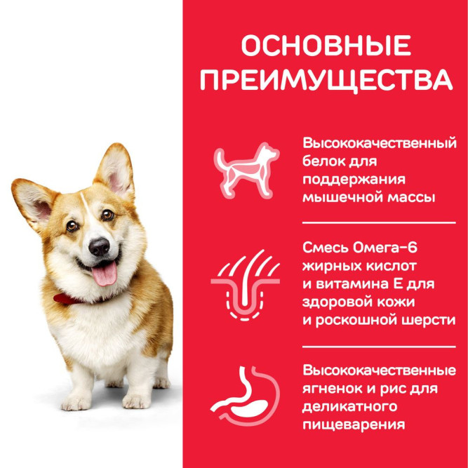 Hills Science Plan сухой корм для собак мелких пород с ягненком и рисом - 6 кг