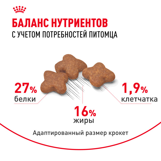 Royal Canin Mini Adult сухой корм для взрослых собак мелких пород - 8 кг