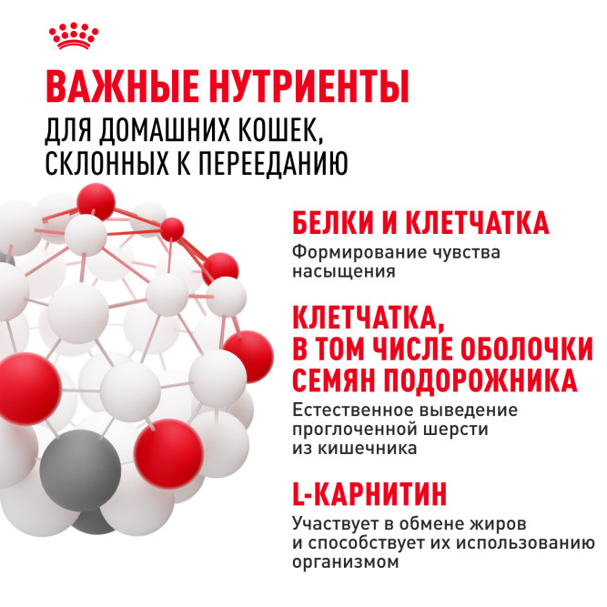 Royal Canin Indoor Appetite Control сухой корм для взрослых кошек, живущих в помещении и склонных к перееданию - 400 г