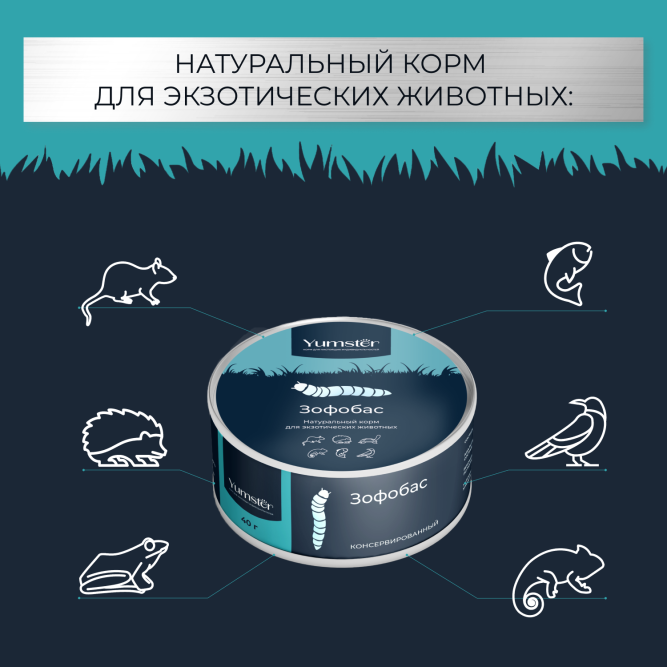 Yumster зофобас консервированный - 40 г