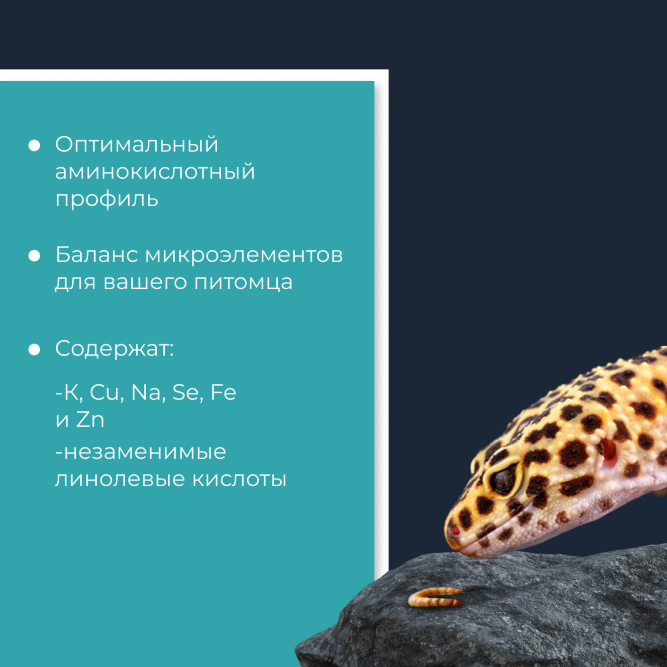 Yumster зофобас консервированный - 40 г