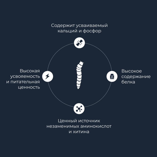 Yumster зофобас консервированный - 40 г