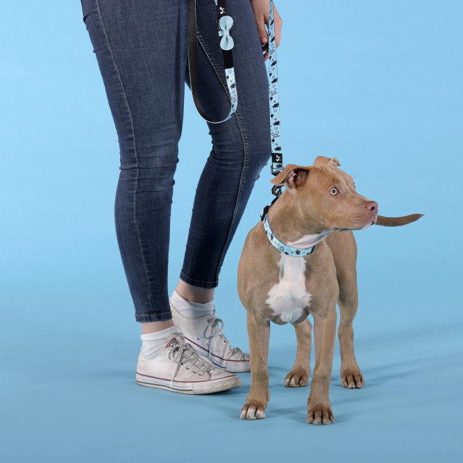 United Pets Complete me Writing поводок для собак, 120 см, 25 мм, голубой с рисунком
