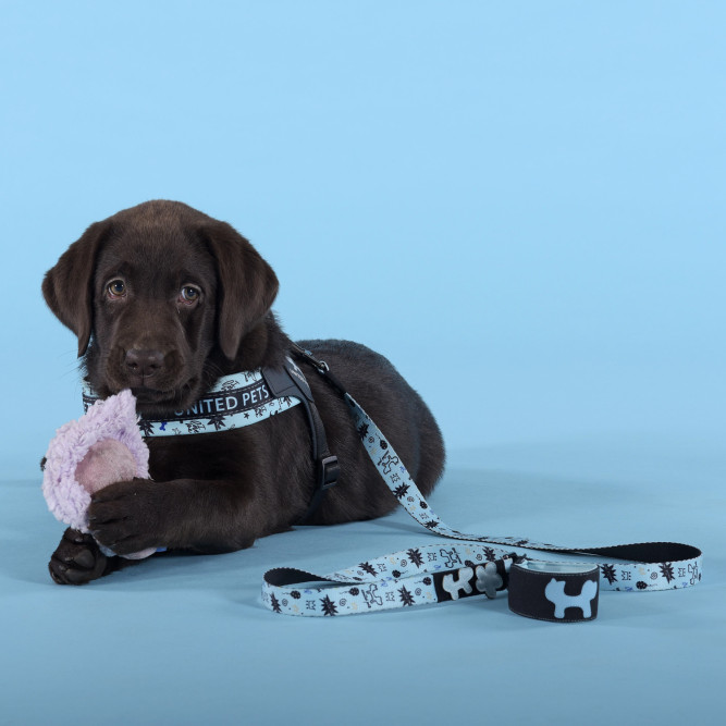 United Pets Complete me Writing поводок для собак, 120 см, 25 мм, голубой с рисунком