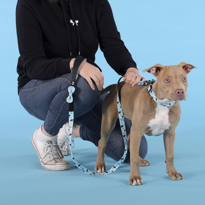 United Pets Complete me Writing поводок для собак, 120 см, 25 мм, голубой с рисунком