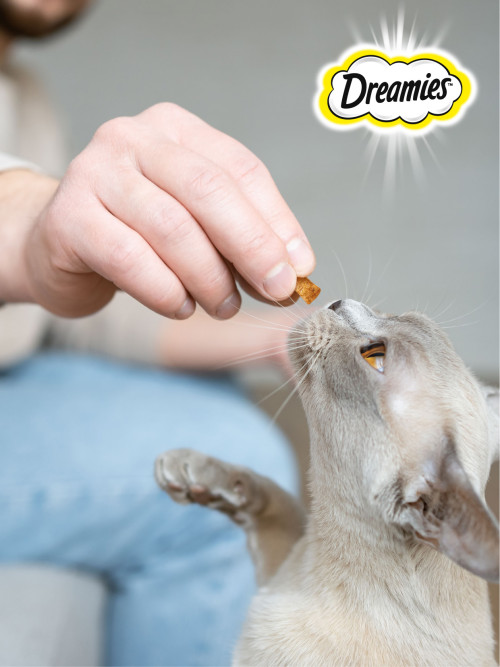 Dreamies лакомство для кошек подушечки с курицей - 30 г