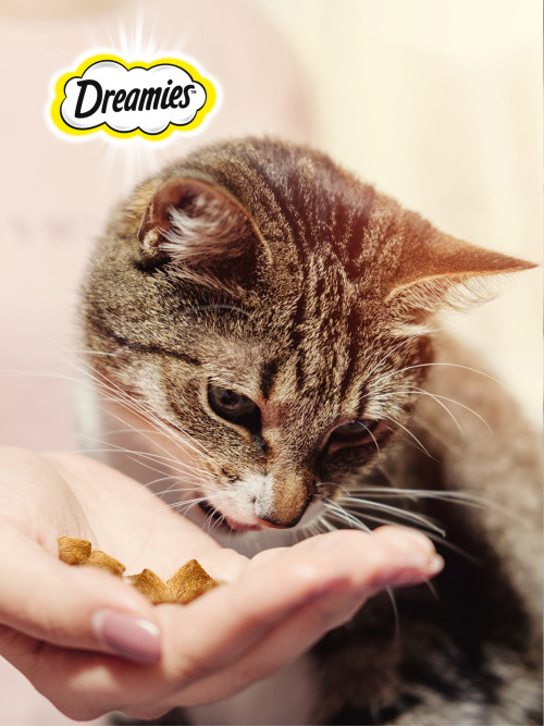Dreamies лакомство для кошек подушечки с курицей - 30 г