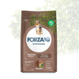 Forza10 Maintenance сухой корм для взрослых собак средних и крупных пород с ягненком и рисом - 12 кг